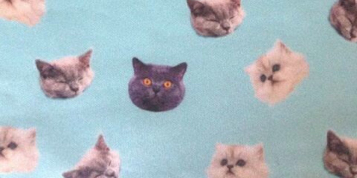 Katie Gibbons banner