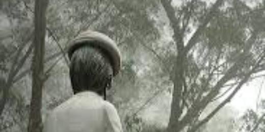 stephane_vidal's profile banner image