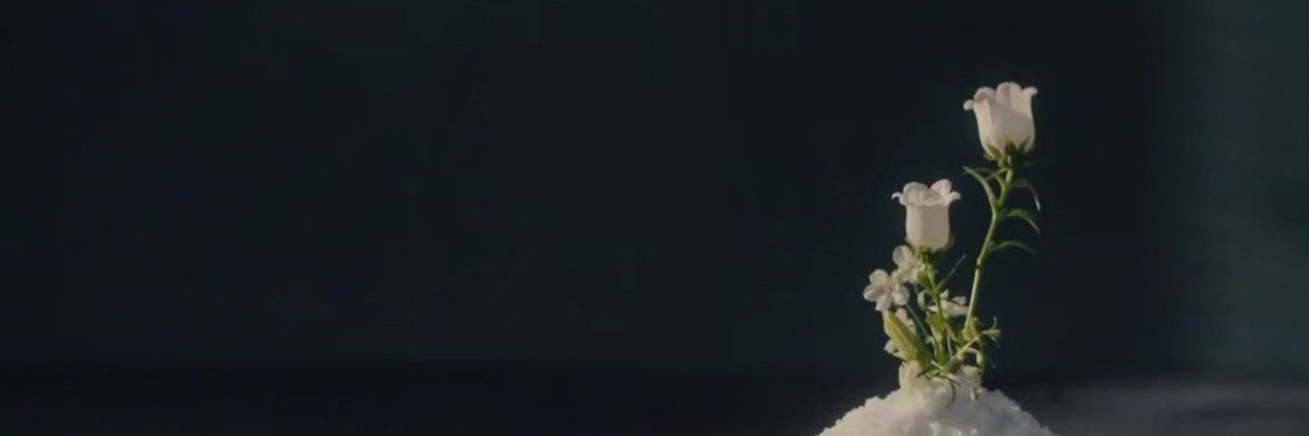 edelyweiss's profile banner image
