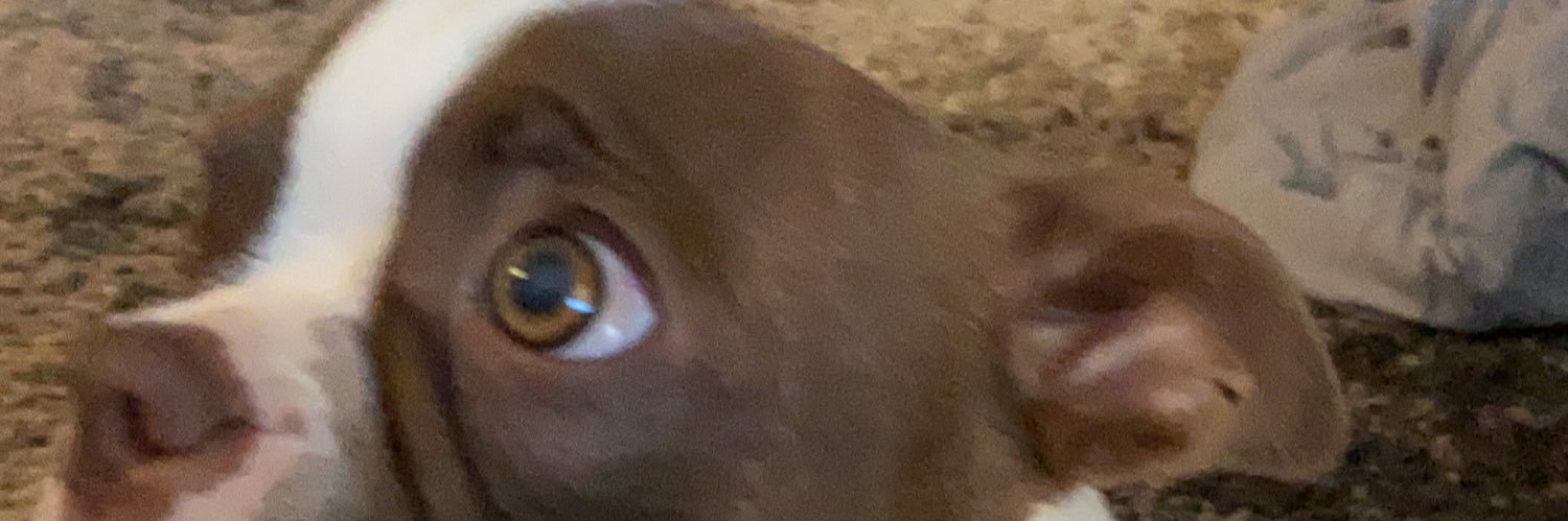 lileah76's profile banner image
