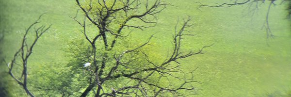blmeena1109 Profile Banner