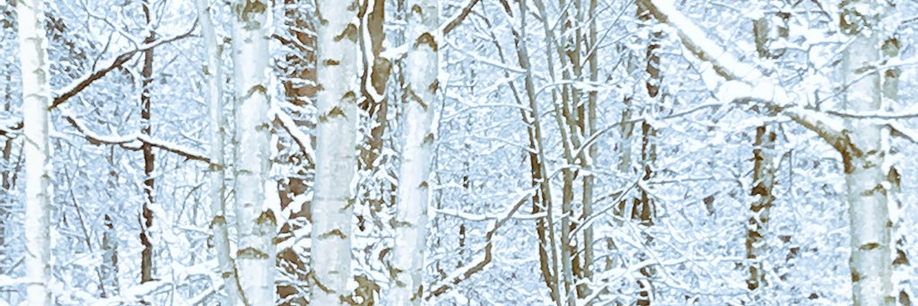 EcsFoto's profile banner image