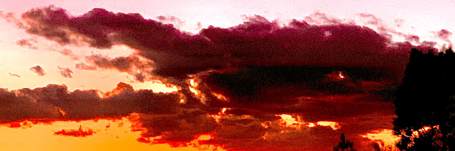 NonsenseJohnny's profile banner image