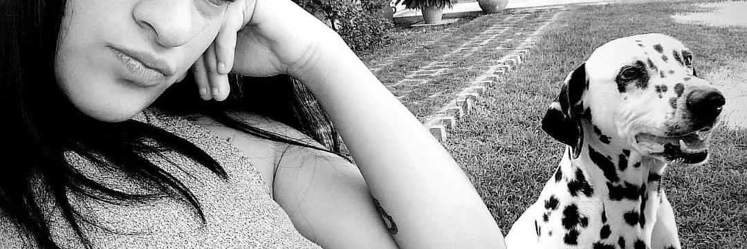 Cami_Sinnott's profile banner image