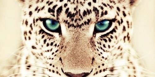 _justrowena's profile banner image