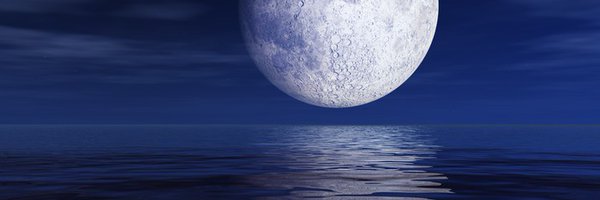 jenifang's profile banner image