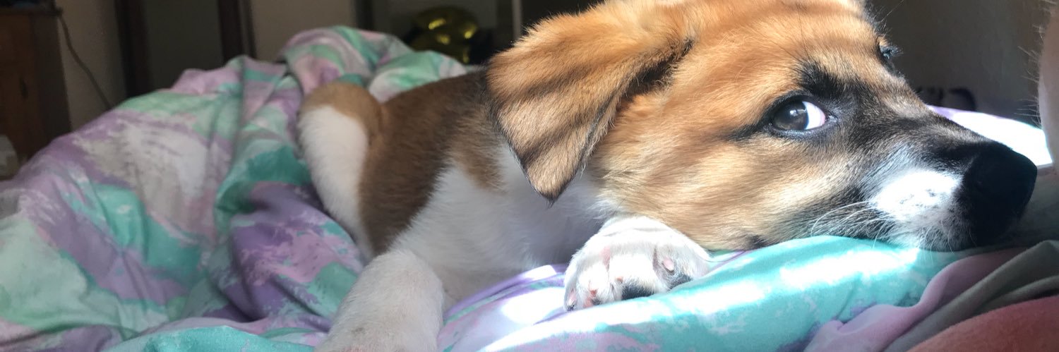 madisonleerice's profile banner image