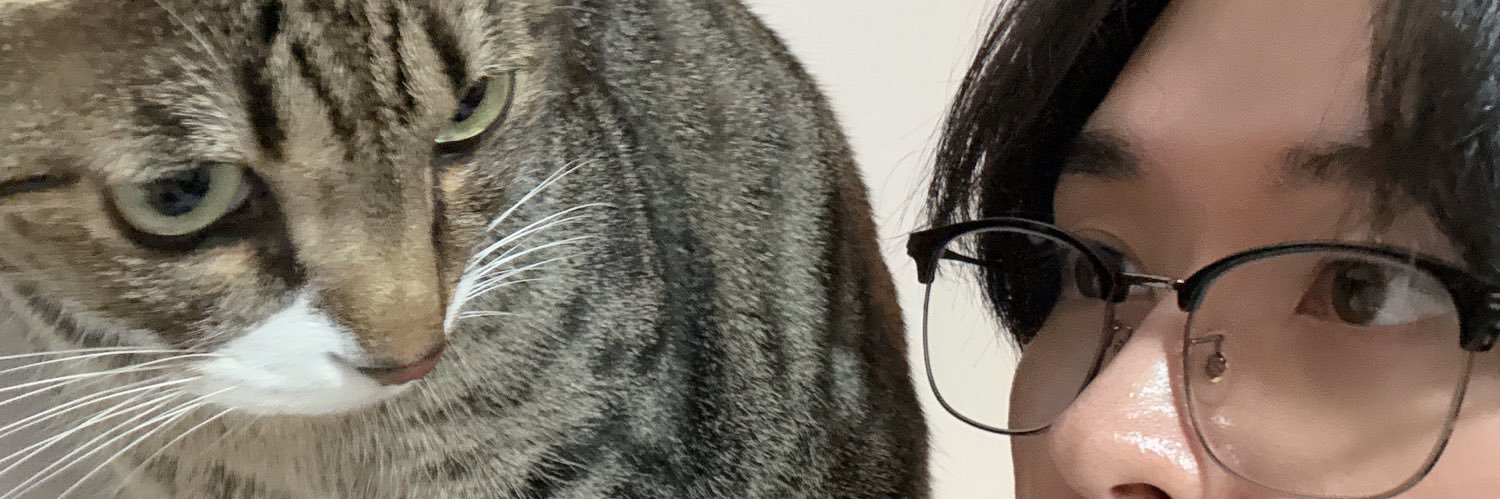 tirina ˚ ༘♡ 🇨🇱 banner