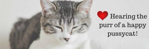 floppydoodoo Profile Banner