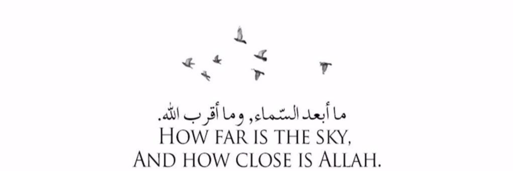 none_omaar's profile banner image