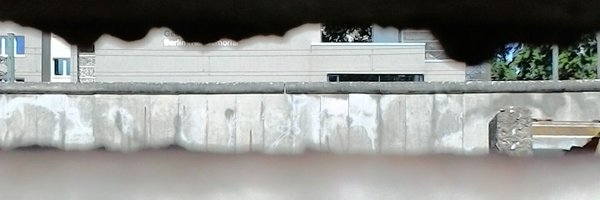 Stingbase Profile Banner