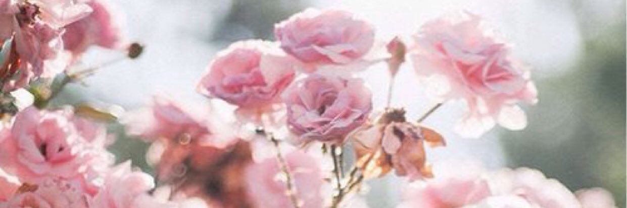 Rebeccabuckleey's profile banner image