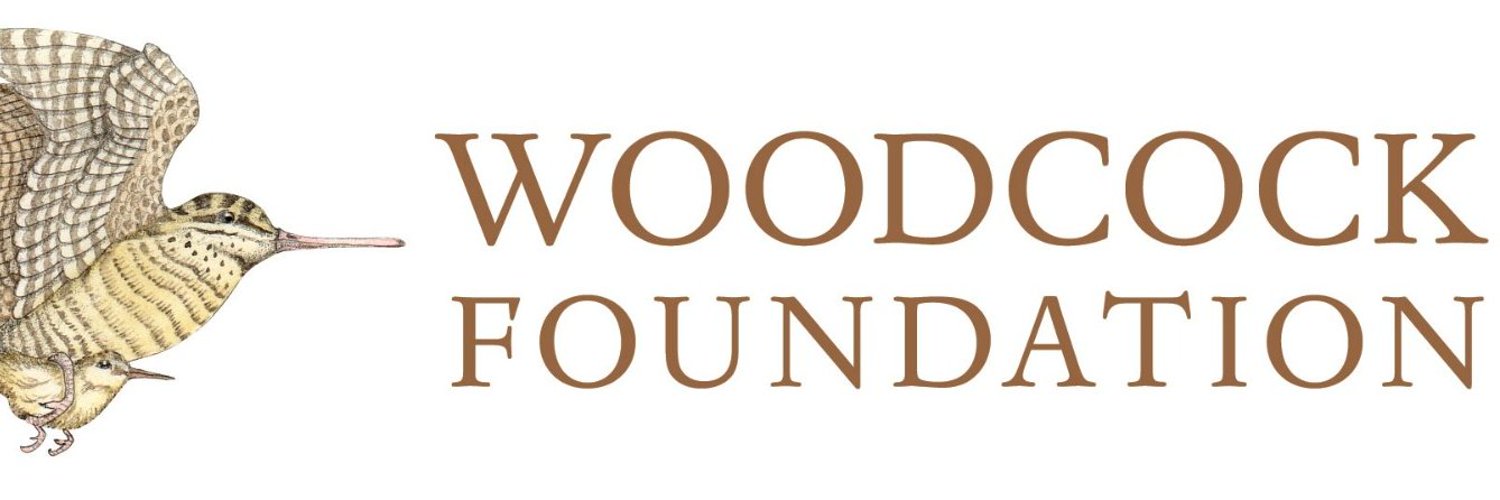 Woodcock Foundation Profile Banner