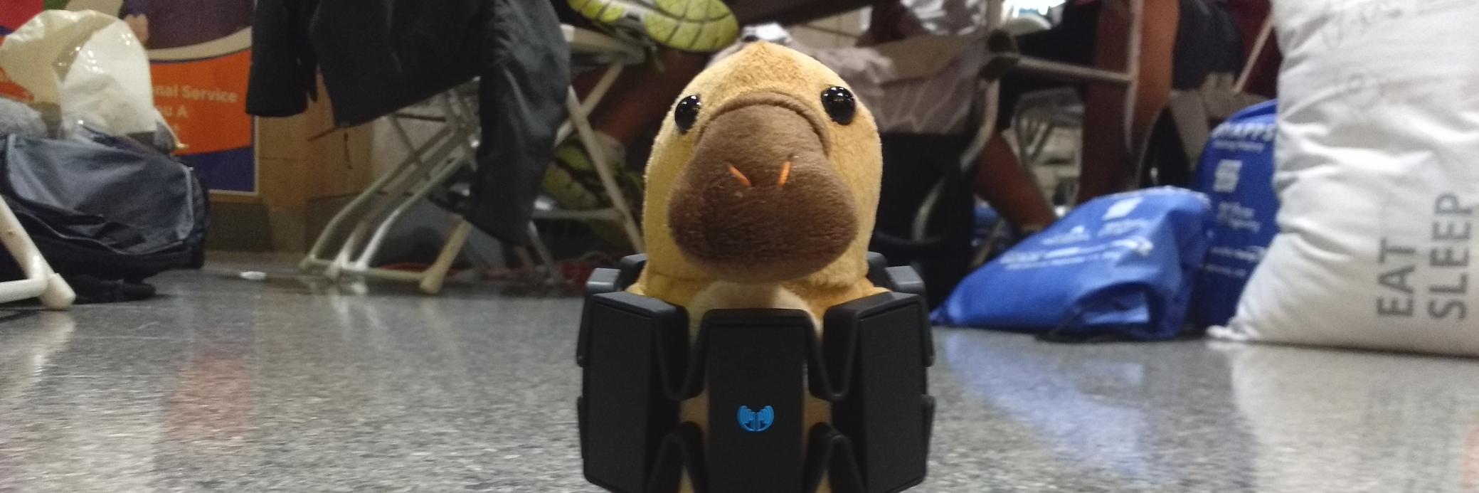 Nick Felker 🗽 banner