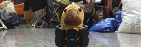 HandNF Profile Banner