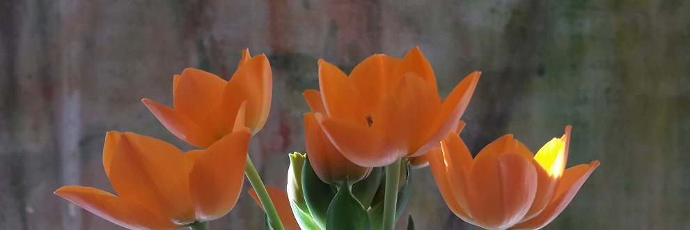 Lafleur Dudimanche banner