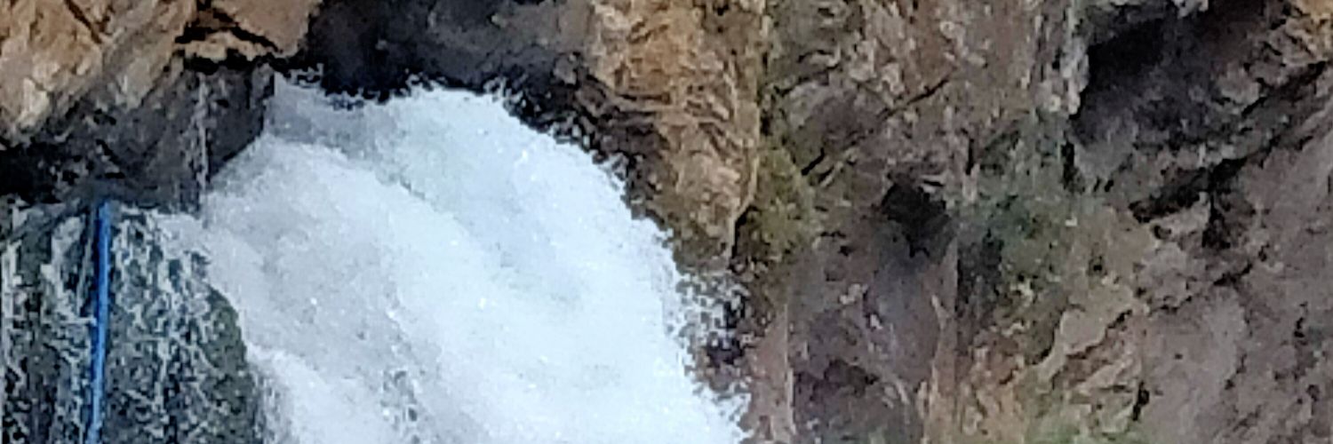 Ayhan Taşkın banner