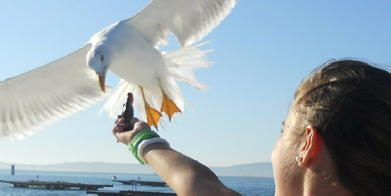 lurdy12's profile banner image