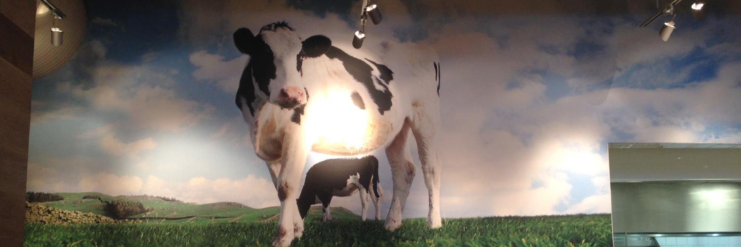 TheBeeferDawg banner