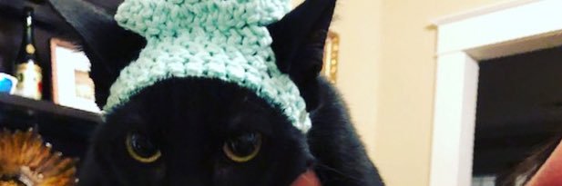 sweeneythott's profile banner image