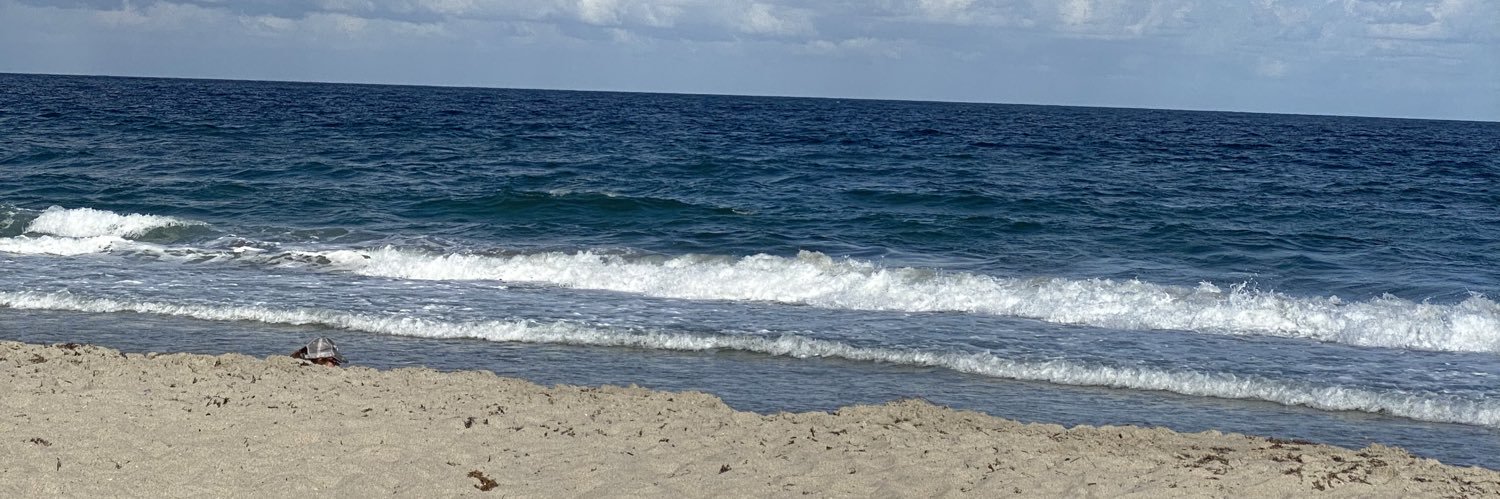 Gail Bannister-Clarke banner