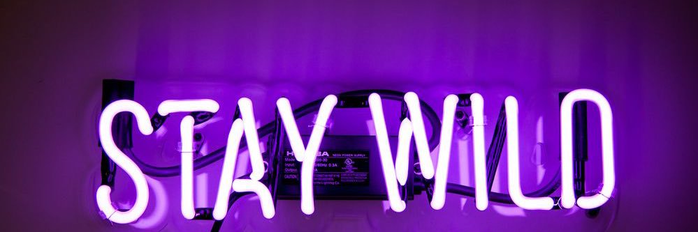 lotsofgrapess's profile banner image