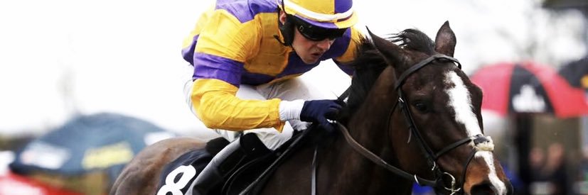 brassilconor's profile banner image