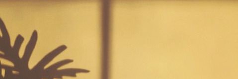 wiferndiary's profile banner image