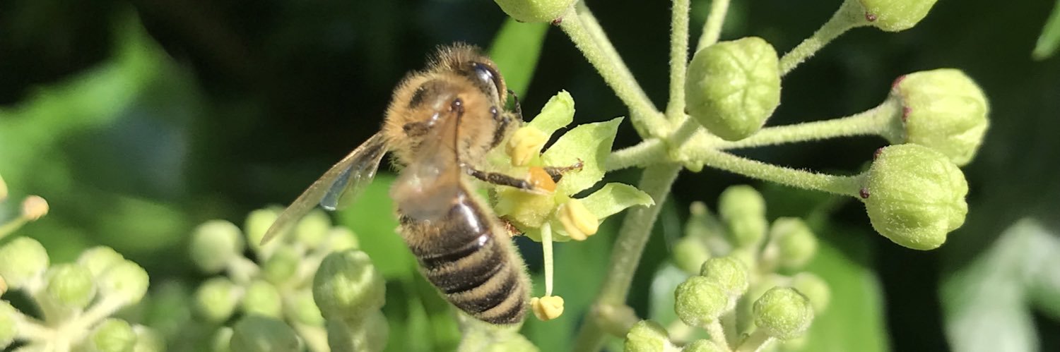 Claire Revitt banner