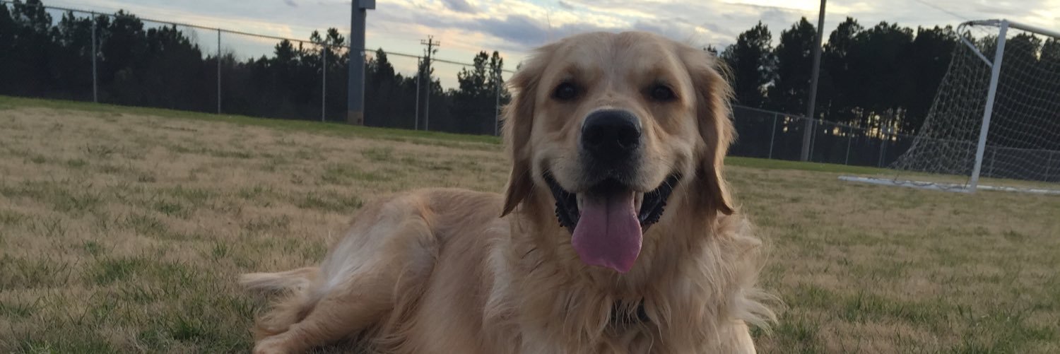 KatiDudman's profile banner image