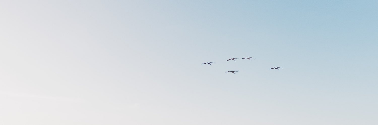 eamx_'s profile banner image