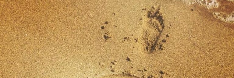 GIOVATAVARES's profile banner image