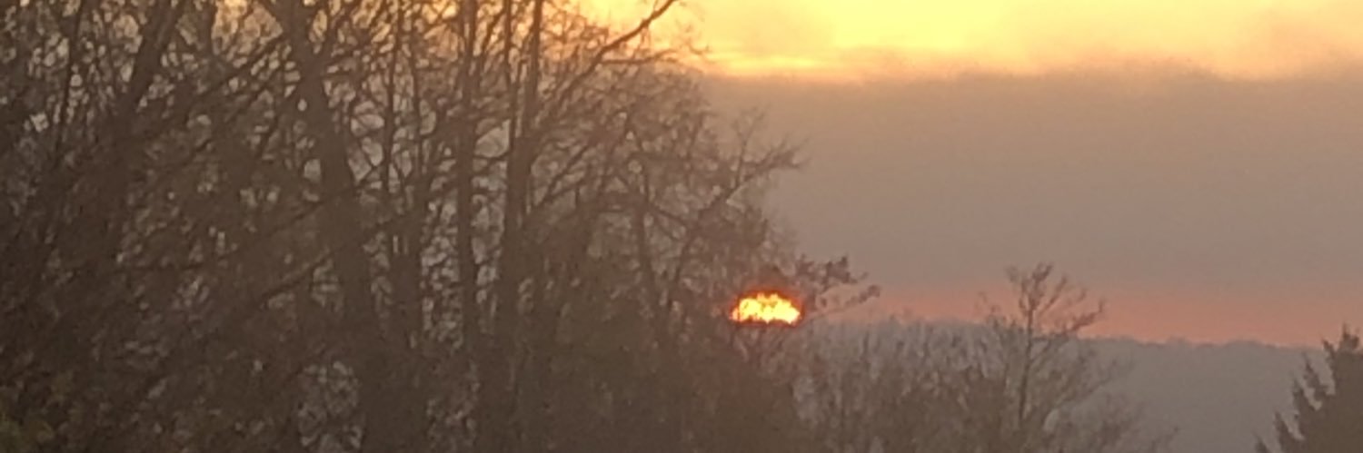 laurentMi21's profile banner image