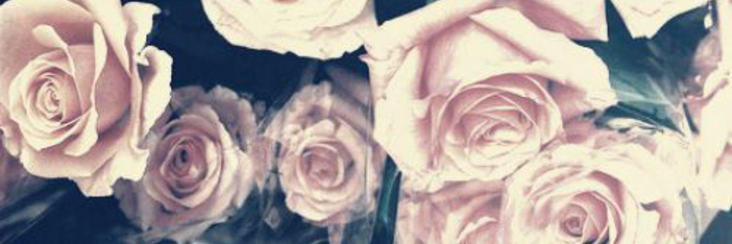 abby_murren's profile banner image
