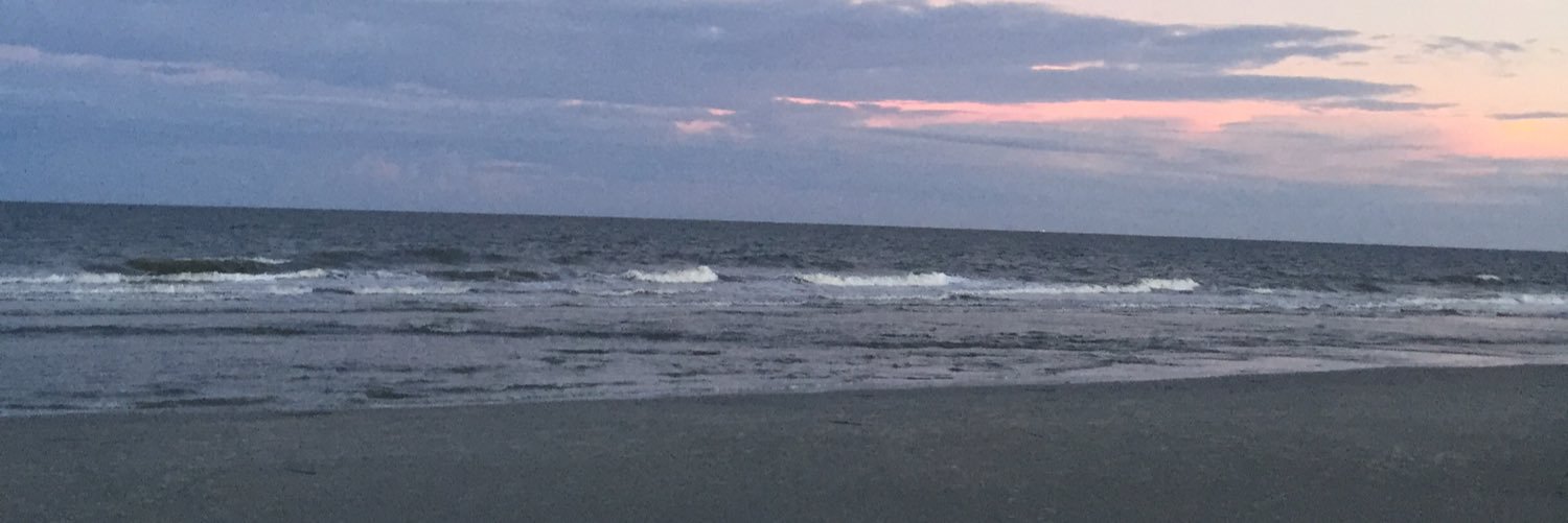 TriciaEdris's profile banner image