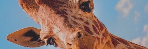 mariletra's profile banner image