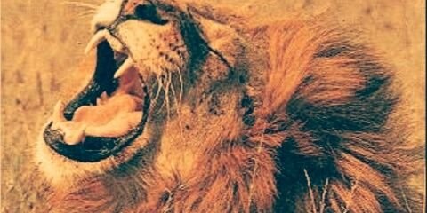Elisa_711's profile banner image