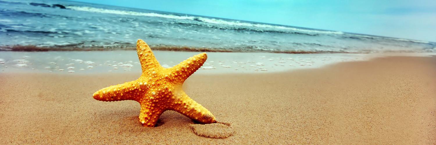 Guillaume Husta banner