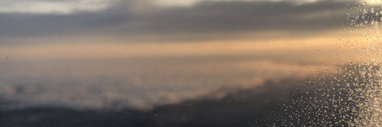 nezboretskkaya's profile banner image