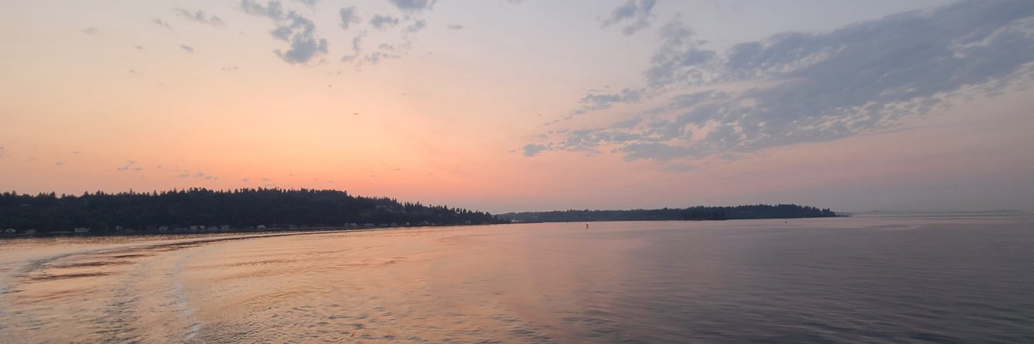 rarebones's profile banner image