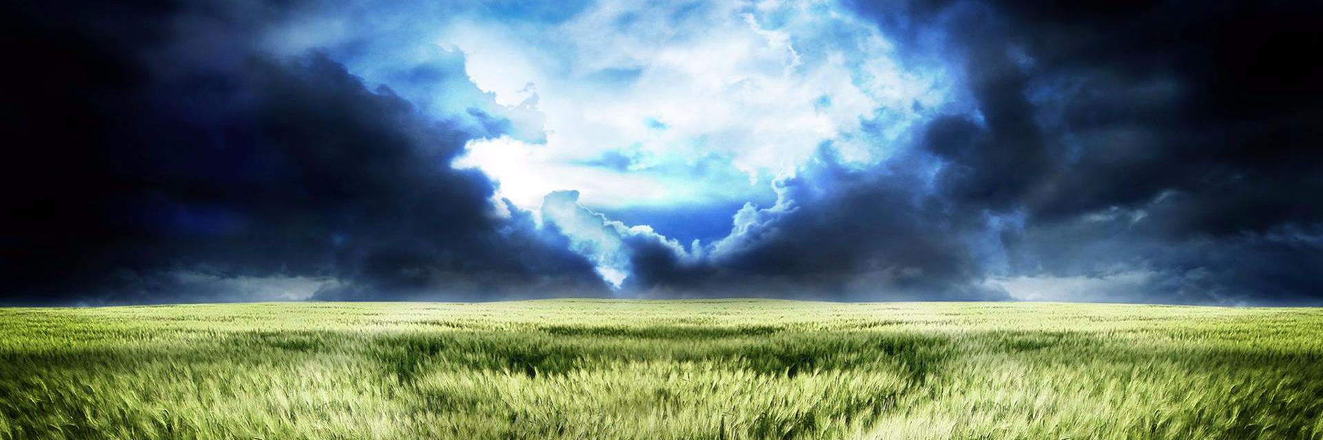 mobriller's profile banner image