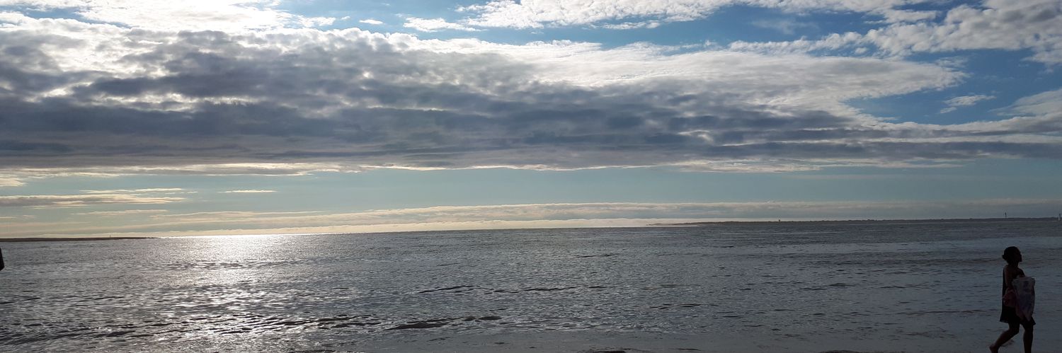 SamuelMeurant's profile banner image