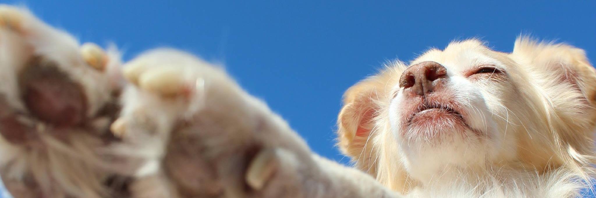 MarinaValderas's profile banner image