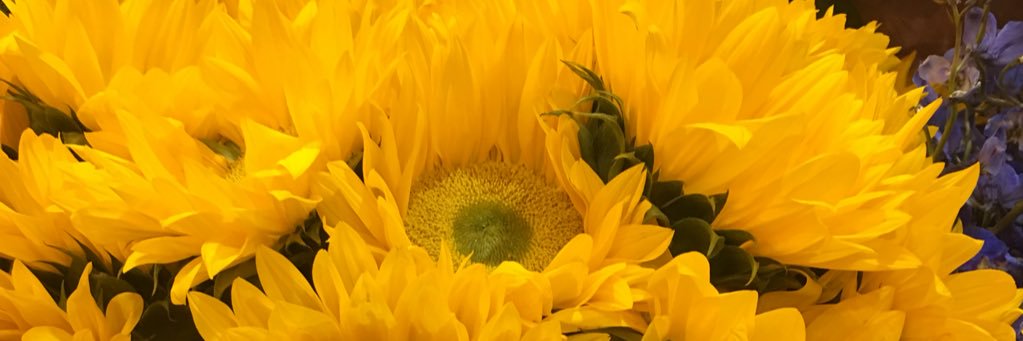 AleciaTroy's profile banner image