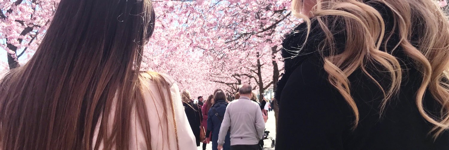 sarajuliaellen's profile banner image