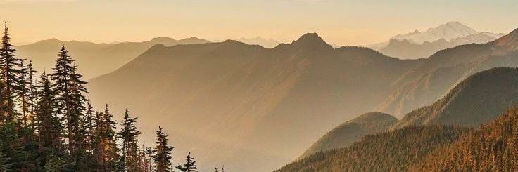 frosmoth's profile banner image