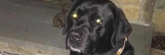 joppa_justin's profile banner image