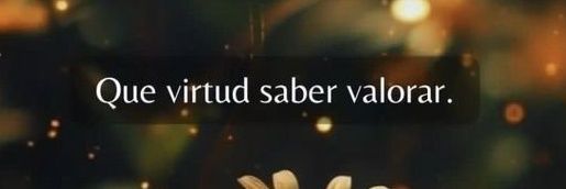 LauFBK's profile banner image