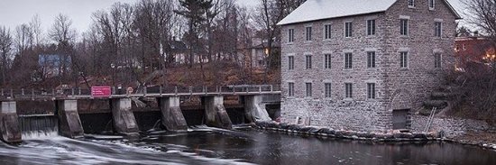 Birds are Dinosaurs🍁🇺🇦🇨🇦🌻 banner