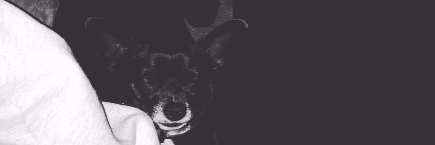 ElPeanutJr's profile banner image